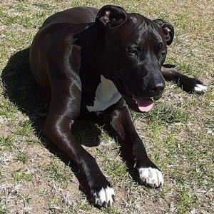 Meet your Posher, Ricci